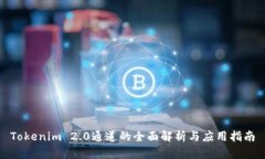 Tokenim 2.0通道的全面解析与应用指南