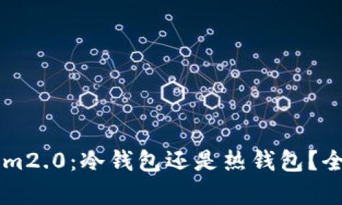 ### Tokenim2.0:冷钱包还是热钱包?全面解析与分析