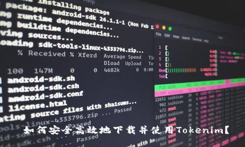 如何安全高效地下载并使用Tokenim?
