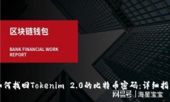 如何找回Tokenim 2.0的比特币密码:详细指南