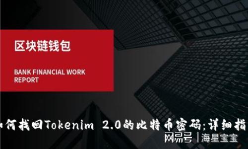 如何找回Tokenim 2.0的比特币密码:详细指南