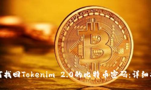 如何找回Tokenim 2.0的比特币密码:详细指南
