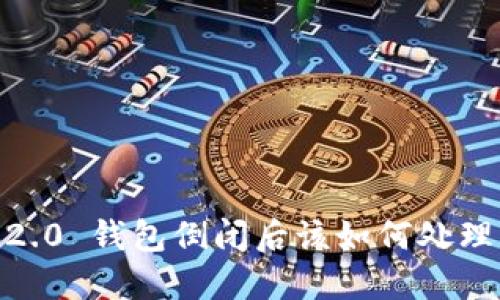 Tokenim 2.0 钱包倒闭后该如何处理?全面指南