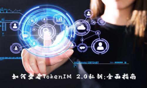 如何查看TokenIM 2.0私钥:全面指南