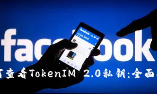 如何查看TokenIM 2.0私钥:全面指南