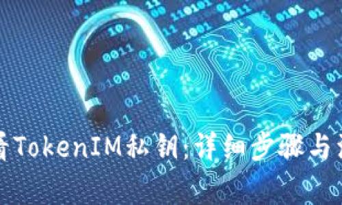如何查看TokenIM私钥:详细步骤与注意事项