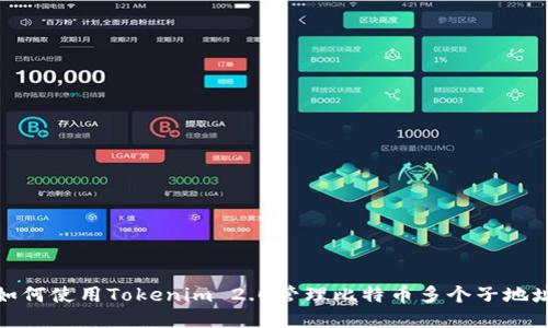 如何使用Tokenim 2.0管理比特币多个子地址