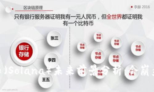 Sol币(Solana)未来前景分析:会崩盘吗?