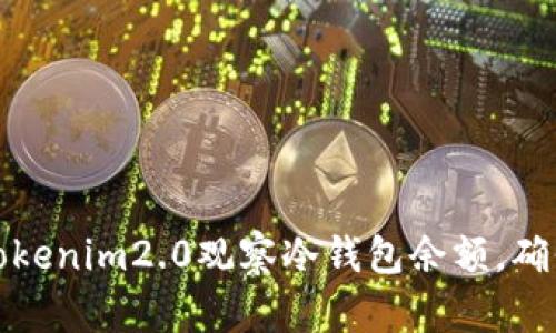 如何通过Tokenim2.0观察冷钱包余额,确保资产安全