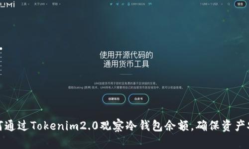 如何通过Tokenim2.0观察冷钱包余额,确保资产安全