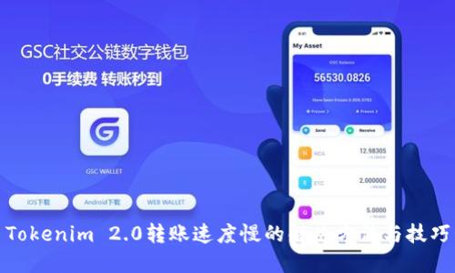 Tokenim 2.0转账速度慢的解决方法与技巧