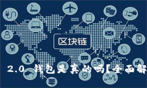 国内Tokenim 2.0 钱包是真的吗?全面解析与使用指南