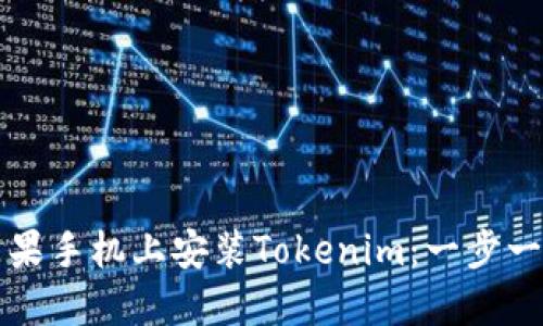如何在苹果手机上安装Tokenim:一步一步的指南