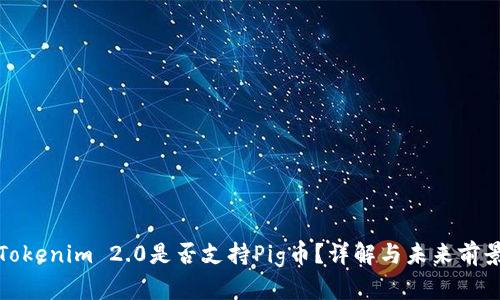 Tokenim 2.0是否支持Pig币?详解与未来前景