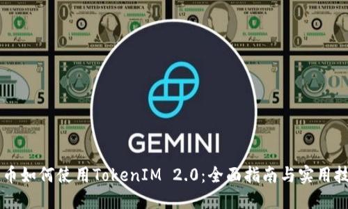 黑币如何使用TokenIM 2.0:全面指南与实用技巧