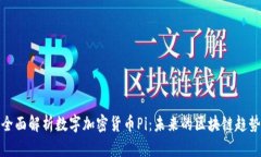 全面解析数字加密货币Pi:未来的区块链趋势