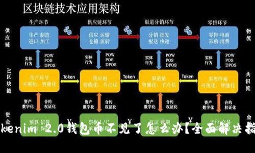 Tokenim 2.0钱包币不见了怎么办?全面解决指南