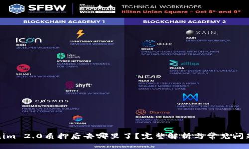 Tokenim 2.0质押后去哪里了？完整解析与常见问题解答