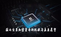 国内交易加密货币的现状与未来展望