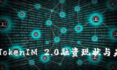 以太坊TokenIM 2.0融资现状与未来展望