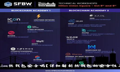 Tokenim热钱包安全吗?详细解析热钱包的安全性与风险