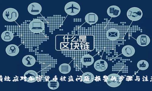 如何有效应对加密货币被盗问题:报警的步骤与注意事项