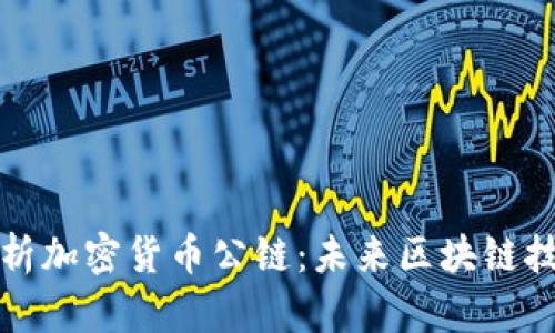 全方位解析加密货币公链:未来区块链技术的基石