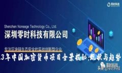 2023年中国加密货币项目全景揭秘:现状与趋势分