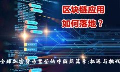 全球加密货币繁荣的中国新篇章:机遇与挑战