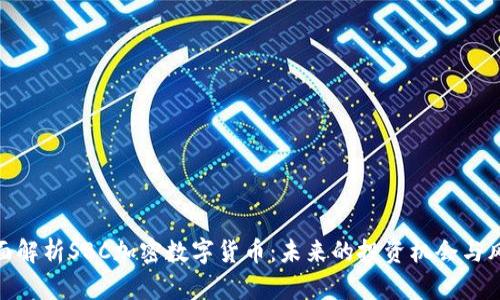 全面解析SBC加密数字货币:未来的投资机会与风险