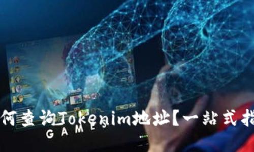 如何查询Tokenim地址?一站式指南