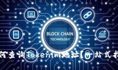 如何查询Tokenim地址?一站式指南