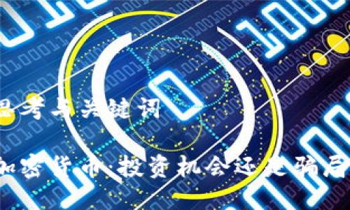 思考与关键词
加密货币:投资机会还是骗局?