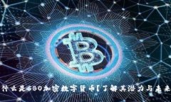 什么是SBO加密数字货币？了解其潜力与未来