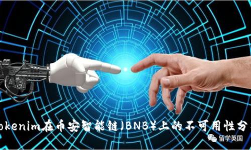 Tokenim在币安智能链(BNB)上的不可用性分析