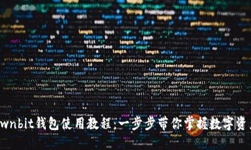详解Ownbit钱包使用教程:一步步带你掌握数字资产管理