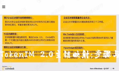 如何进行TokenIM 2.0主链映射:步骤与技巧解析
