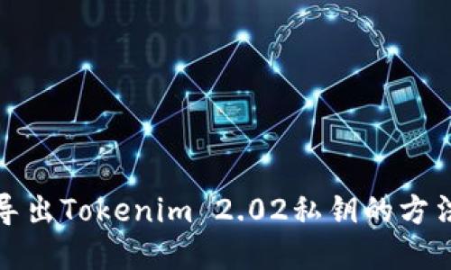如何导出Tokenim 2.02私钥的方法详解