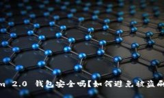 Tokenim 2.0 钱包安全吗?如何避免被盗刷的风险