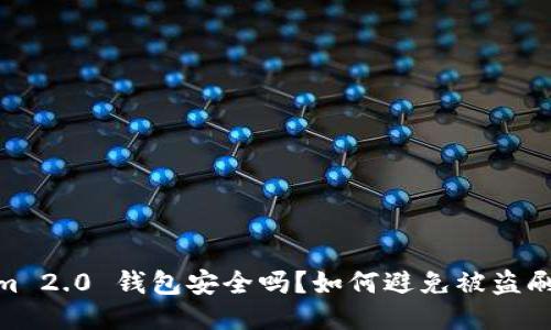 Tokenim 2.0 钱包安全吗?如何避免被盗刷的风险