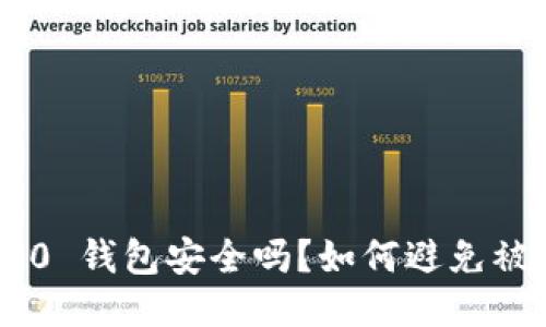Tokenim 2.0 钱包安全吗?如何避免被盗刷的风险