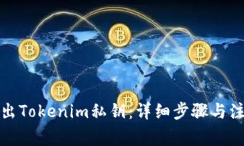如何导出Tokenim私钥:详细步骤与注意事项