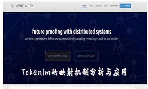 Tokenim的映射机制分析与应用