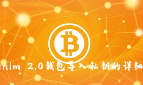 Tokenim 2.0钱包导入私钥的详细指南