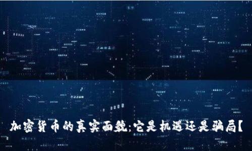 加密货币的真实面貌:它是机遇还是骗局?