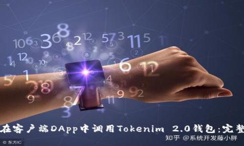 如何在客户端DApp中调用Tokenim 2.0钱包:完整指南