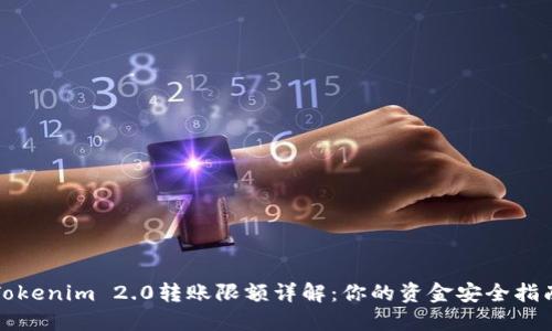 Tokenim 2.0转账限额详解:你的资金安全指南