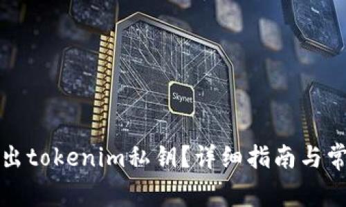 如何安全导出tokenim私钥?详细指南与常见问题解答