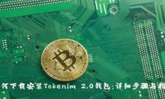 如何下载安装Tokenim 2.0钱包：详细步骤与指南