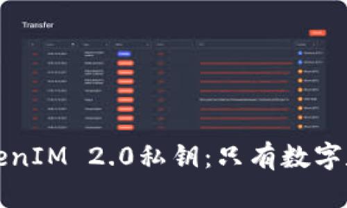 如何安全管理TokenIM 2.0私钥：只有数字和字母的最佳实践